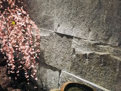景观位-花时·炭火烧肉(东百中心A馆店)