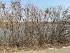 -长春北湖公园