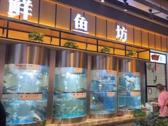 -老船舫·现做活鲜鱼馆(东郊记忆店)