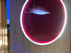 -SFC上影影城(港汇永华IMAX激光店)