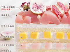 -5Cake五度无蔗糖低脂蛋糕(陶然亭店)