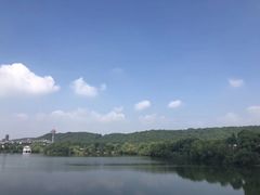 -华西村