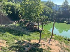 -西霞口神雕山野生动物世界