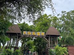 -万绿园