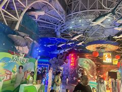 -烟台海昌鲸鲨海洋公园
