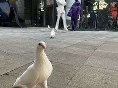-中粮·祥云小镇