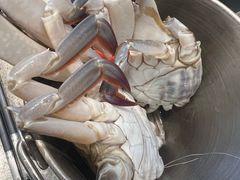 -初色海鲜自助(万丰路店)