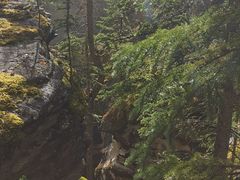 -阿萨巴斯卡瀑布观景点