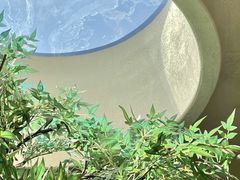 -白茶原·一片叶子