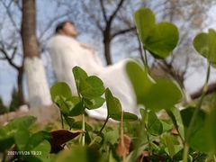 -西安汉城湖景区