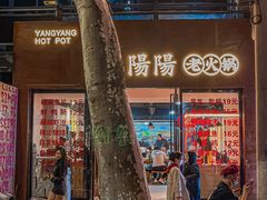 -阳阳老火锅(小南门店)