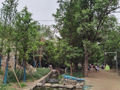 -白水寺森林公园