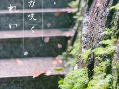 -火炉山森林公园