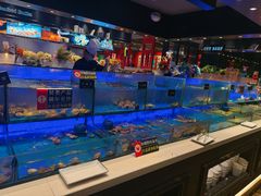 -SEA西雅图海鲜自助餐厅(海乐世界店)