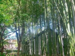-汇龙潭