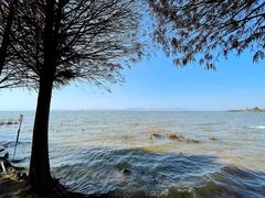 -捞渔河湿地公园
