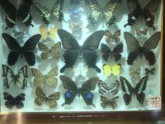 -陕西自然博物馆