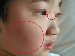 -金雁飞鸣双语幼儿园