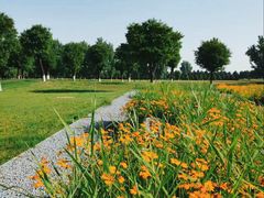 -汉长安城未央宫国家考古遗址公园