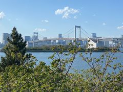 -台场海滨公园船码头