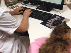 -北京观赏动物医院·24小时大型综合·猫专科·异宠专科
