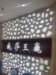 -威莎王巍·集美社