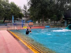 -欢乐水魔方水世界