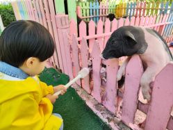 -萌宠亲子动物乐园(槐房万达店)