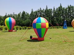 -上海长兴岛郊野公园