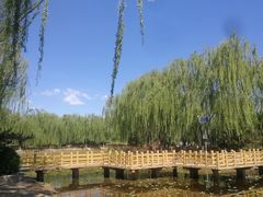 -东升八家郊野公园