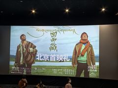 -深影国际影城(学院南路店CGS中国巨幕店)
