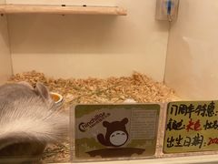 -龙猫仔乐园(惠福东路店)