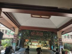-呀诺达热带雨林