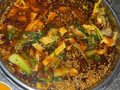 -胖子鱼·油泼甘谷辣子炝活鱼(秦州407店)