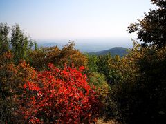 -香山公园