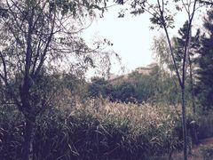-江南大学(蠡湖校区)