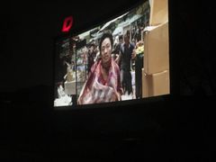 -枫花园汽车电影院(朝阳公园店)