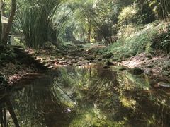 -川西竹海景区