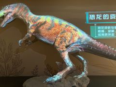 -自贡恐龙博物馆