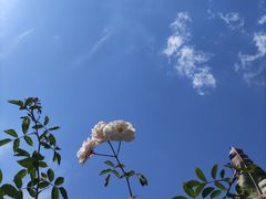 -悦哉·派对·草坪婚礼·围炉煮茶(三圣乡店)