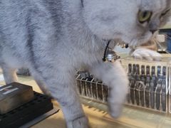-Oasis绿洲银饰珍珠手作diy(壹方城店)