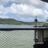 崔了三次，菜才慢慢上来