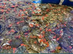 -川骄海鲜自助(河东店)