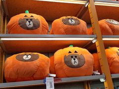 -line friends(明洞旗舰店)