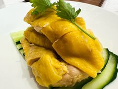 白斩散养鸡-红城阁·上海味道(四平路店)