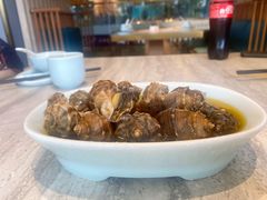 辣卤海螺-小平岛开海水饺(皇姑店)