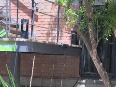 -羊门客在·烤盐池滩羊·川菜