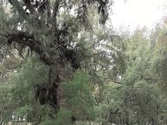 -马銮湾景区