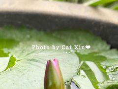 -成飞公园