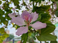 -花都广场